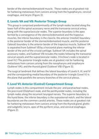 TNM staging of head neck cancer | PDF