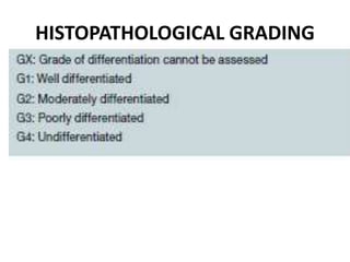 HISTOPATHOLOGICAL GRADING
 