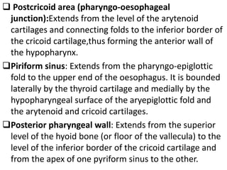  Postcricoid area (pharyngo-oesophageal
junction):Extends from the level of the arytenoid
cartilages and connecting folds to the inferior border of
the cricoid cartilage,thus forming the anterior wall of
the hypopharynx.
Piriform sinus: Extends from the pharyngo-epiglottic
fold to the upper end of the oesophagus. It is bounded
laterally by the thyroid cartilage and medially by the
hypopharyngeal surface of the aryepiglottic fold and
the arytenoid and cricoid cartilages.
Posterior pharyngeal wall: Extends from the superior
level of the hyoid bone (or floor of the vallecula) to the
level of the inferior border of the cricoid cartilage and
from the apex of one pyriform sinus to the other.
 