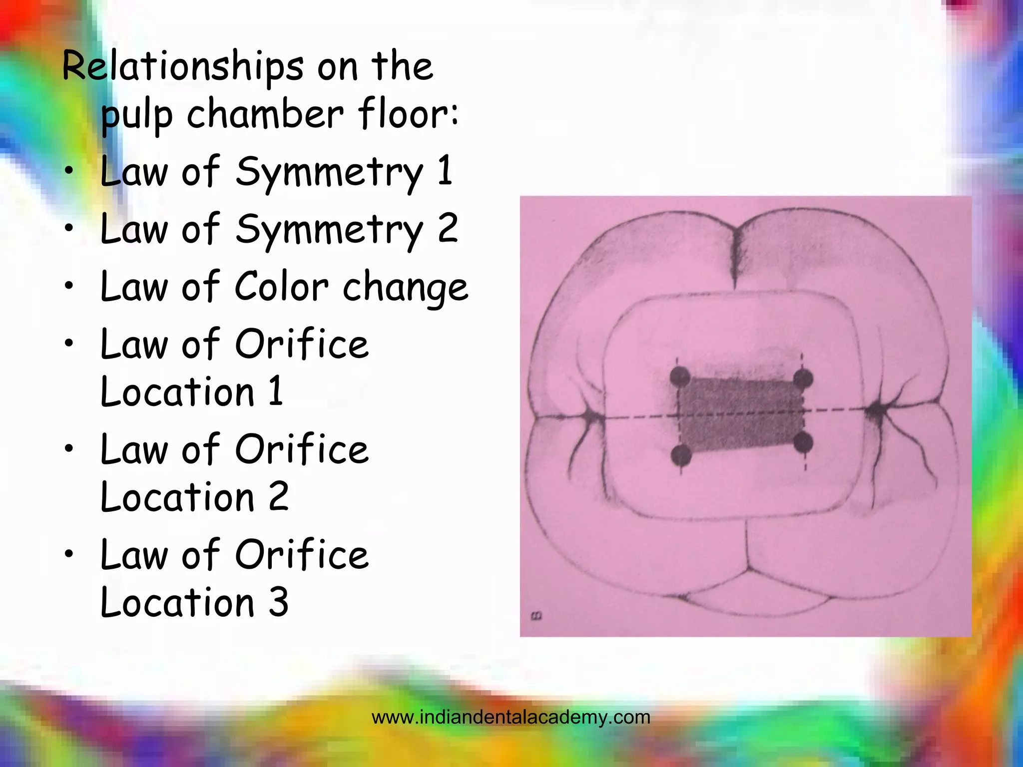 Relationships on the
pulp chamber floor:
• Law of Symmetry 1
• Law of Symmetry 2
• Law of Color change
• Law of Orifice
Location 1
• Law of Orifice
Location 2
• Law of Orifice
Location 3
www.indiandentalacademy.com
 