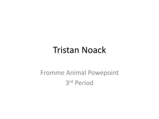 Tristan Noack Fromme Animal Powepoint 3rd Period 