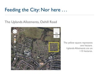 Feeding the City: Nor here . . .

The Uplands Allotments, Oxhill Road




                                      The yellow...