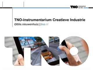 TNO-instrumentarium Creatieve Industrie
ottilie.nieuwenhuis@tno.nl
 