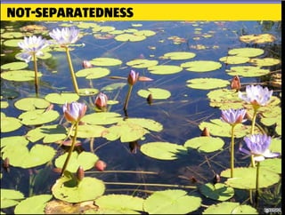 NOT-SEPARATEDNESS
 