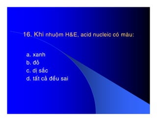 16. Khi16. Khi nhuoäm H&E, acid nucleic coù maøu:nhuoäm H&E, acid nucleic coù maøu:
a. xanh
b. ñoûb. ñoû
c. dò saéc
d. taát caû ñeàu sai
 