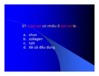 07.07. Loaïi sôïiLoaïi sôïi coù nhieàu ôûcoù nhieàu ôû suïn xôsuïn xô laø:laø:
a. chun
b. collagenb. collagen
c. löôùi
d. taát caû ñeàu ñuùng
 