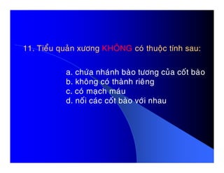 11. Tieåu quaûn xöông11. Tieåu quaûn xöông KHOÂNGKHOÂNG coù thuoäc tính sau:coù thuoäc tính sau:
a. chöùa nhaùnh baøo töông cuûa coát baøo
b. khoâng coù thaønh rieâng
c. coù maïch maùuc. coù maïch maùu
d. noái caùc coát baøo vôùi nhau
 