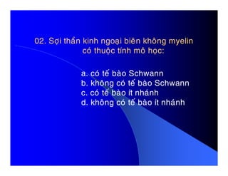 02. Sôïi thaàn kinh ngoaïi bieân khoâng myelin02. Sôïi thaàn kinh ngoaïi bieân khoâng myelin
coù thuoäc tính moâ hoïc:coù thuoäc tính moâ hoïc:
a. coù teá baøo Schwann
b. khoâng coù teá baøo Schwann
c. coù teá baøo ít nhaùnhc. coù teá baøo ít nhaùnh
d. khoâng coù teá baøo ít nhaùnh
 