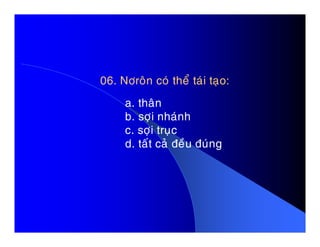 06. Nôroân coù theå taùi taïo:
a. thaân
b. sôïi nhaùnh
c. sôïi truïcc. sôïi truïc
d. taát caû ñeàu ñuùng
 
