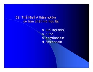 09. Theå Nisll ôû thaân nôroân09. Theå Nisll ôû thaân nôroân
coù baûn chaát moâ hoïc laø:coù baûn chaát moâ hoïc laø:
a. löôùi noäi baøo
b. ti theå
c. polyribosomc. polyribosom
d. proteasom
 