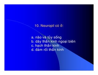 10. Neuropil coù ôû:10. Neuropil coù ôû:
a. naõo vaø tuûy soánga. naõo vaø tuûy soáng
b. daây thaàn kinh ngoaïi bieân
c. haïch thaàn kinh
d. ñaùm roái thaàn kinh
 