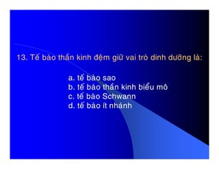 13. Teá baøo thaàn kinh ñeäm giöõ vai troø dinh döôõng laø:
a. teá baøo sao
b. teá baøo thaàn kinh bieåu moâb. teá baøo thaàn kinh bieåu moâ
c. teá baøo Schwann
d. teá baøo ít nhaùnh
 