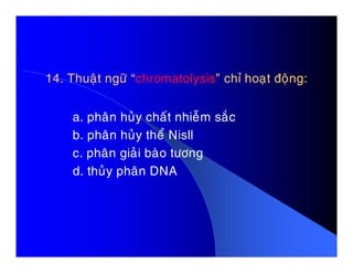 14. Thuaät ngöõ “14. Thuaät ngöõ “chromatolysischromatolysis” chæ hoaït ñoäng:” chæ hoaït ñoäng:
a. phaân huûy chaát nhieãm saéc
b. phaân huûy theå Nisllb. phaân huûy theå Nisll
c. phaân giaûi baøo töông
d. thuûy phaân DNA
 