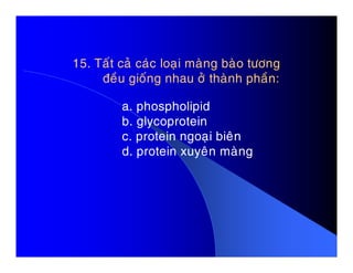 15. Taát caû caùc loaïi maøng baøo töông
ñeàu gioáng nhau ôû thaønh phaàn:
a. phospholipid
b. glycoprotein
c. protein ngoaïi bieânc. protein ngoaïi bieân
d. protein xuyeân maøng
 