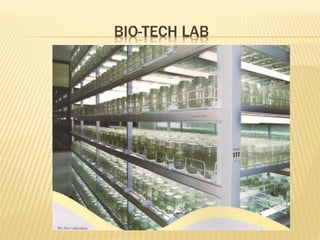 BIO-TECH LAB
 
