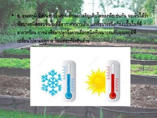 • 6. อุณหภูมิ มีส่วนช่วยในการงอกและเจริญเติบโตของพืชเช่นกัน จะเห็นได้ว่า
พืชบางชนิดชอบขึ้นในที่มีอากาศหนาวเย็น แต่พืชบางชนิดก็ชอบขึ้นในที่มี
อากาศร้อน การนาพืชมาปลูกจึงควรเลือกชนิดที่เหมาะสมกับอุณหภูมิที่
เปลี่ยนไปตามฤดูกาล ในแต่ละท้องถิ่นด้วย
 