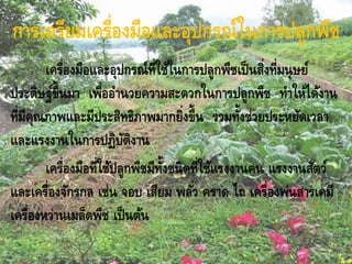 การเตรียมเครื่องมือและอุปกรณ์ในการปลูกพืช
เครื่องมือและอุปกรณ์ที่ใช้ในการปลูกพืชเป็นสิ่งที่มนุษย์
ประดิษฐ์ขึ้นมา เพื่ออานวยความสะดวกในการปลูกพืช ทาให้ได้งาน
ที่มีคุณภาพและมีประสิทธิภาพมากยิ่งขึ้น รวมทั้งช่วยประหยัดเวลา
และแรงงานในการปฏิบัติงาน
เครื่องมือที่ใช้ปลูกพืชมีทั้งชนิดที่ใช้แรงงานคน แรงงานสัตว์
และเครื่องจักรกล เช่น จอบ เสียม พลั่ว คราด ไถ เครื่องพ่นสารเคมี
เครื่องหว่านเมล็ดพืช เป็นต้น
 