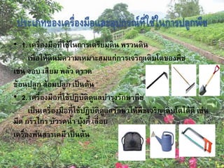 ประเภทของเครื่องมือและอุปกรณ์ที่ใช้ในการปลูกพืช
• 1. เครื่องมือที่ใช้ในการเตรียมดิน พรวนดิน
เพื่อให้ดินมีความเหมาะสมแก่การเจริญเติบโตของพืช
เช่น จอบ เสียม พลั่ว คราด
ช้อนปลูก ส้อมปลูก เป็นต้น
• 2. เครื่องมือที่ใช้ปฏิบัติดูแลบารุงรักษาพืช
เป็นเครื่องมือที่ใช้ปฏิบัติดูแลรักษาให้พืชเจริญเติบโตได้ดี เช่น
มีด กรรไกร บัวรดน้า บุ้งกี๋ เลื่อย
เครื่องพ่นสารเคมี เป็นต้น
 