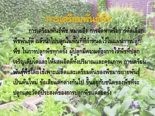การเตรียมพันธุ์พืช
การเตรียมพันธุ์พืช หมายถึง การจัดหาหรือการคัดเลือก
พืชพันธุ์ดี แล้วนาไปปลูกในพื้นที่ที่กาหนดไว้ในแผนการปลูก
พืช ในการปลูกพืชทุกครั้ง ผู้ปลูกมีความต้องการให้พืชที่ปลูก
เจริญเติบโตและให้ผลผลิตดีทั้งปริมาณและคุณภาพ การเตรียม
พันธุ์พืชโดยใช้เพาะเมล็ดและเตรียมต้นของพืชมาขยายพันธุ์
เป็นต้นใหม่ ข้อเสียแตกต่างกันไป ขึ้นอยู่กับชนิดของพืชที่จะ
ปลูกและวัตถุประสงค์ของการปลูกพืชแต่ละครั้ง
 