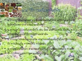 ๔.๔ วิธีการเตรียมพันธุ์พืช
• ๑.การปลูกพืชผักชนิดต่างๆ ต้องเตรียมพันธุ์พืชด้วยวิธีการเพราะ
เมล็ดหรือเพราะกล้าและย้ายกล้าปลูก
• ๒.การปลูกไม้ประดับและพืชไร่ เช่น อ้อย มันสาปะหลัง เป็นต้น ควร
เตรียมพันธุ์โดยใช้วิธีการปักชาและลาต้น
• ๓.การปลูกไม้ผลเกือบทุกชนิด สามารถเตรียมพันธุ์ได้โดยวิธีการตอน
กิ่ง การเสียบกิ่ง การทาบกิ่ง การติดตา
• ๔.การเตรียมไม้ดอก สามารถเตรียมพันธุ์โดยวิธีการตอนกิ่ง การปัก
ชา การติดตา และการเพาะเมล็ด
 