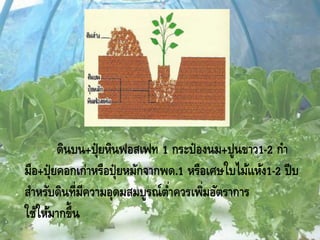 ดินบน+ปุ๋ยหินฟอสเฟท 1 กระป๋องนม+ปูนขาว1-2 กา
มือ+ปุ๋ยคอกเก่าหรือปุ๋ยหมักจากพด.1 หรือเศษใบไม้แห้ง1-2 ปีบ
สาหรับดินที่มีความอุดมสมบูรณ์ต่าควรเพิ่มอัตราการ
ใช้ให้มากขึ้น
 