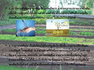 • 2. น้า มีความสาคัญต่อการเจริญเติบโตของพืชมาก น้าช่วยละลายแร่ธาตุอาหารในดิน
เพื่อให้รากดูดอาหารไปเลี้ยงส่วนต่างๆ ของลาต้นได้ และยังช่วยให้ดินมีความชุ่มชื้น
พืชสดชื่นและการทางานของกระบวนการต่างๆ ในพืชเป็นไปอย่างปกติ
• 3. ธาตุอาหารหรือปุ๋ย เป็นสิ่งที่ช่วยให้พืชเจริญเติบโต ดียิ่งขึ้น ธาตุอาหารที่จาเป็นต่อ
การเจริญเติบโตของพืชมี 16 ธาตุ แต่ธาตุที่พืชต้องการมากและในดินมักมีไม่เพียงพอ
คือ ธาตุไนโตรเจน ฟอสฟอรัส และโพแทสเซียม ธาตุอาหารเหล่านี้จะต้องอยู่ในรูป
สารละลายที่พืชนาไปใช้ได้และต้องมีปริมาณ ที่พอเหมาะ จึงจะทาให้การเจริญเติบโต
ของพืชเป็นไปด้วยดี แต่ถ้ามีไม่เพียงพอต้องเพิ่มธาตุอาหารให้แก่พืชในรูปของปุ๋ย
 