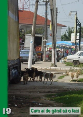 19
                                Ro
                                     m
                           NO         an
                                 SE ia
                             T b Cn V
                            NO
                            OR TFOac ONr e
                                 FO Rk p Do si
                                 PU Dag DR
                                    R IS n -
                                      PU a
                                     BL eT TA
                                        BL     RI hirFT
                                        IC ddeB d
                                           IA d U D
                                            CA TI T ra
                                               TI O IO ft
                                                 O N    N
                                                  N




Cum ai de gând să o faci
 