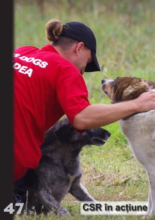 Ro




47
                           m
                 NO         an
                       SE ia
                   T b Cn V
                  NO
                  OR TFOac ONr e
                       FO Rk p Do si
                       PU Dag DR
                          R IS n -
                            PU a
                           BL eT TA
                              BL     RI hirFT
                              IC ddeB d
                                 IA d U D
                                  CA TI T ra
                                     TI O IO ft
                                       O N    N
                                        N




CSR în acţiune
 