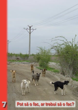 7
                                         Ro
                                           m
                                    NO      an
                                          SE ia
                                      T b Cn V
                                     NO
                                     OR TFOac ONr e
                                          FO Rk p Do si
                                          PU Dag DR
                                             R IS n -
                                               PU a
                                              BL eT TA
                                                 BL     RI hirFT
                                                 IC ddeB d
                                                    IA d U D
                                                     CA TI T ra
                                                        TI O IO ft
                                                          O N    N
                                                           N




Pot să o fac, ar trebui să o fac?
 