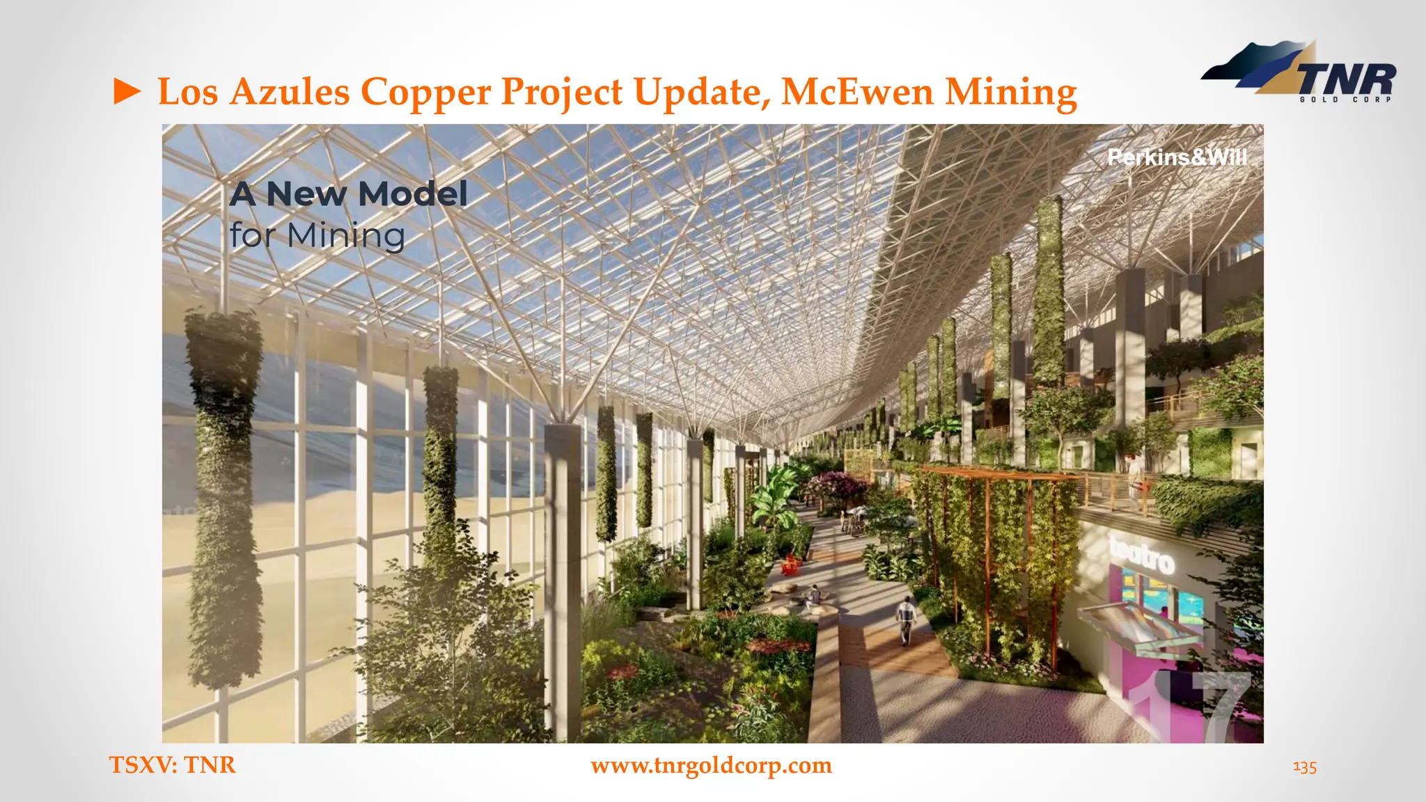 ► Los Azules Copper Project Update, McEwen Mining
TSXV: TNR www.tnrgoldcorp.com 135
 