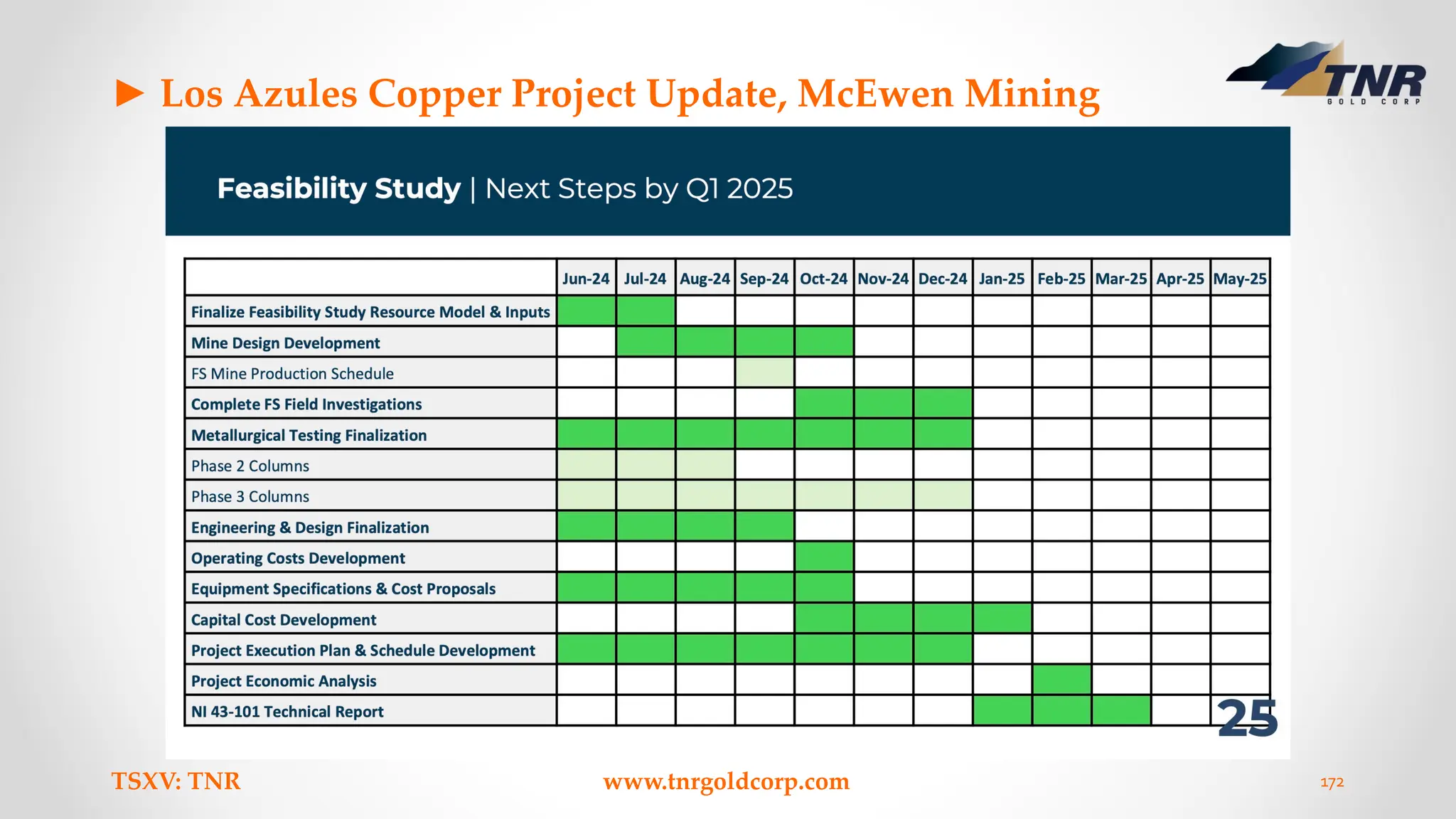 ► Los Azules Copper Project Update, McEwen Mining
TSXV: TNR www.tnrgoldcorp.com 172
 