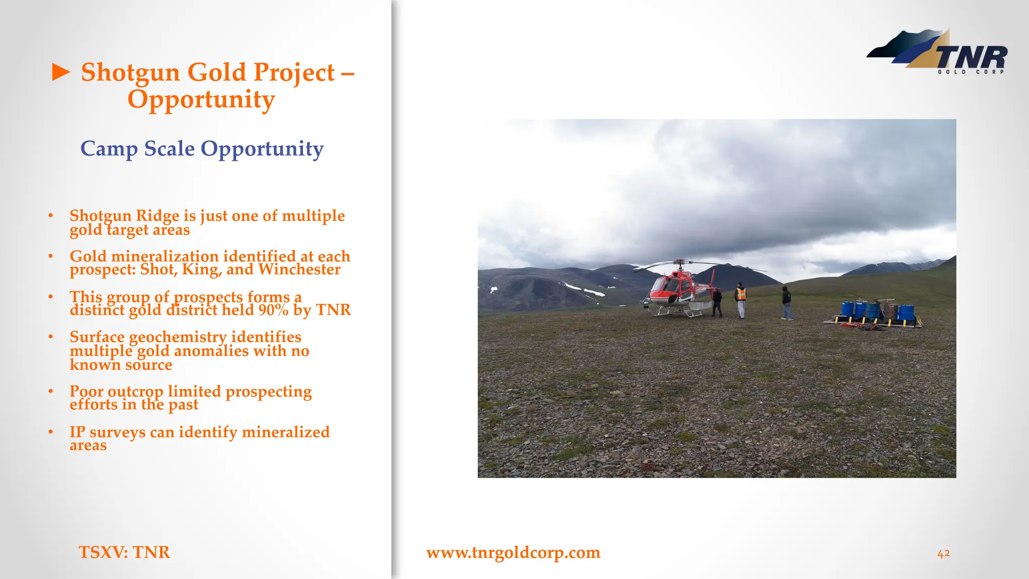 ► Shotgun Gold Project –
Opportunity
Camp Scale Opportunity
• Shotgun Ridge is just one of multiple
gold target areas
• Gold mineralization identified at each
prospect: Shot, King, and Winchester
• This group of prospects forms a
distinct gold district held 90% by TNR
• Surface geochemistry identifies
multiple gold anomalies with no
known source
• Poor outcrop limited prospecting
efforts in the past
• IP surveys can identify mineralized
areas
TSXV: TNR www.tnrgoldcorp.com 42
 