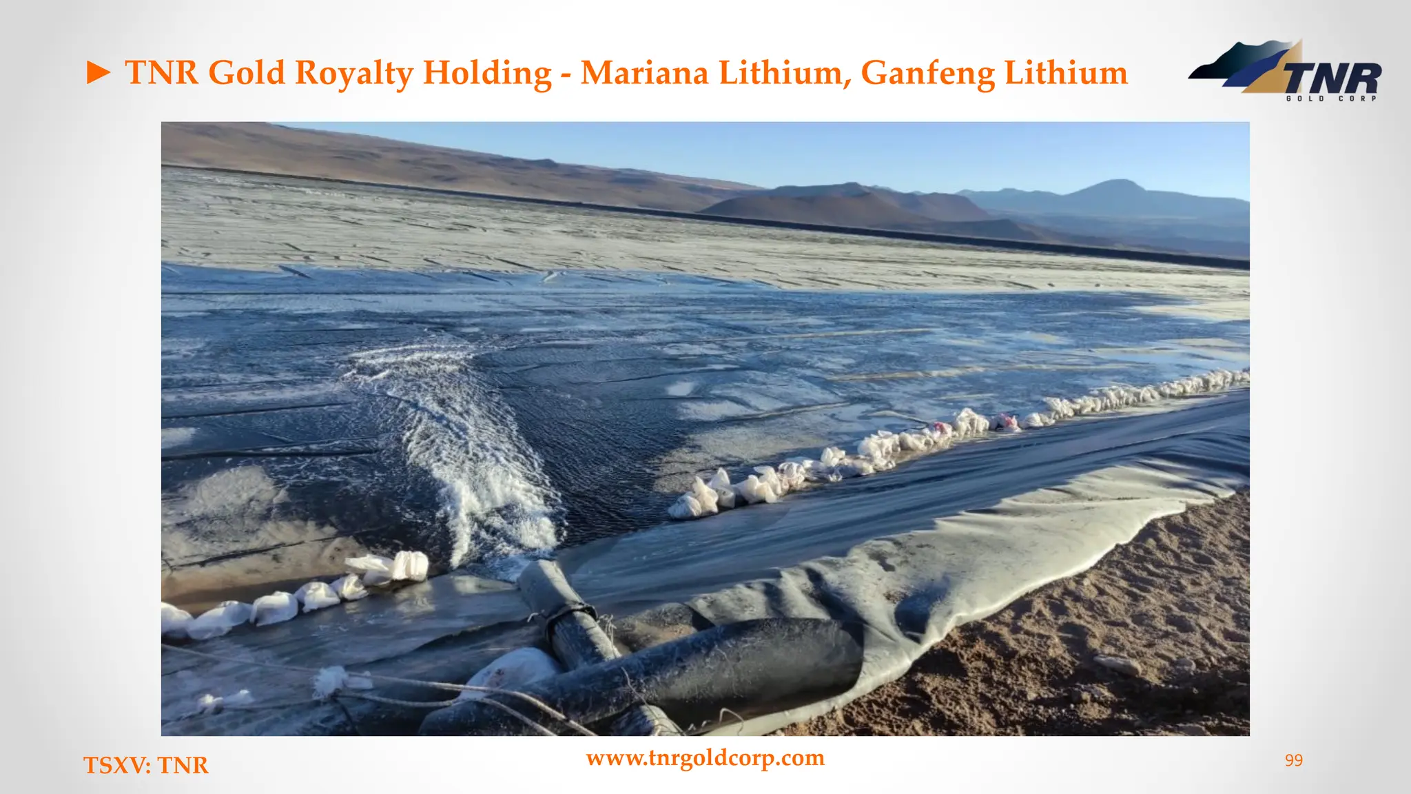 ► TNR Gold Royalty Holding - Mariana Lithium, Ganfeng Lithium
TSXV: TNR www.tnrgoldcorp.com 99
 