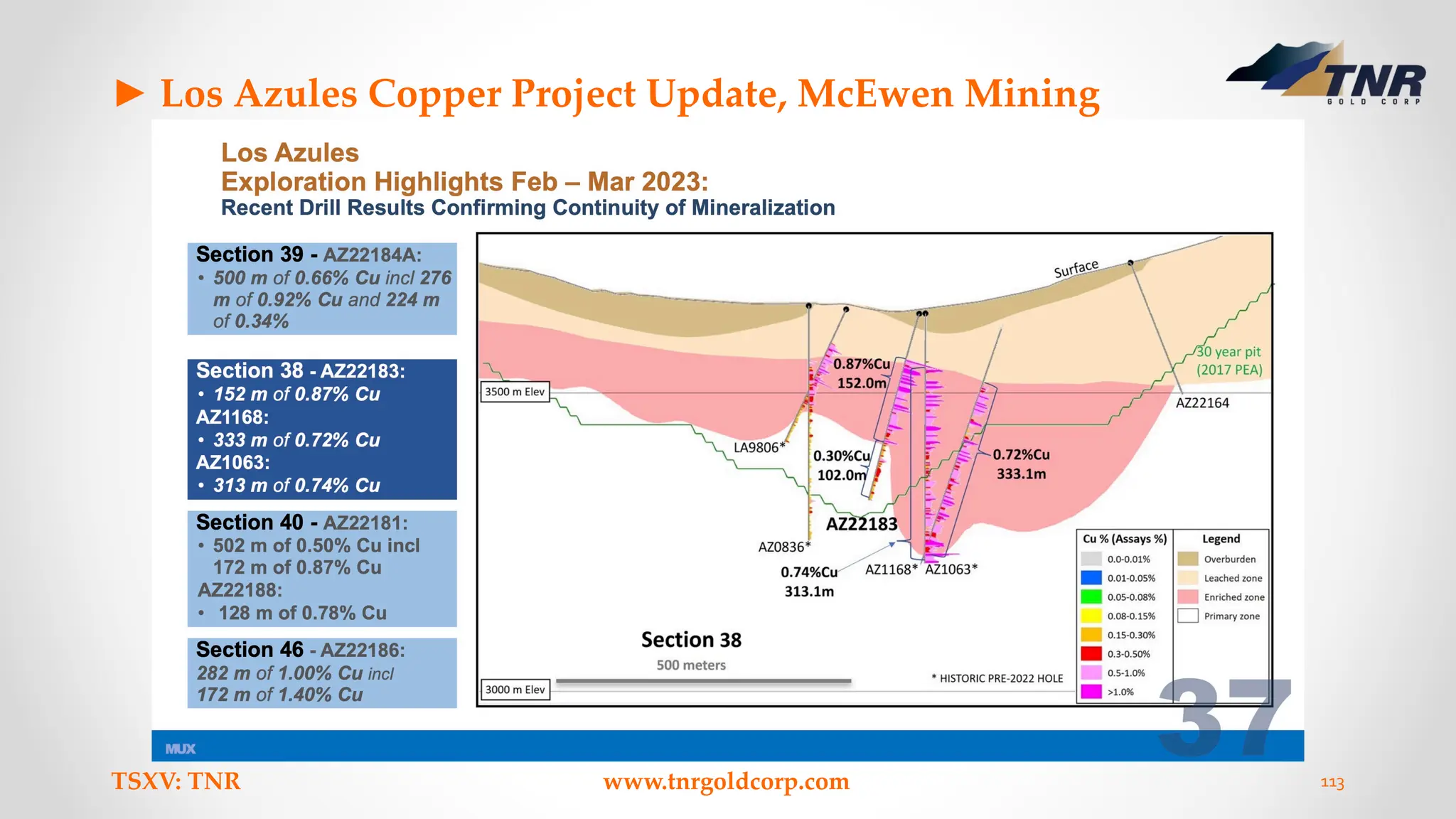 ► Los Azules Copper Project Update, McEwen Mining
TSXV: TNR www.tnrgoldcorp.com 113
 