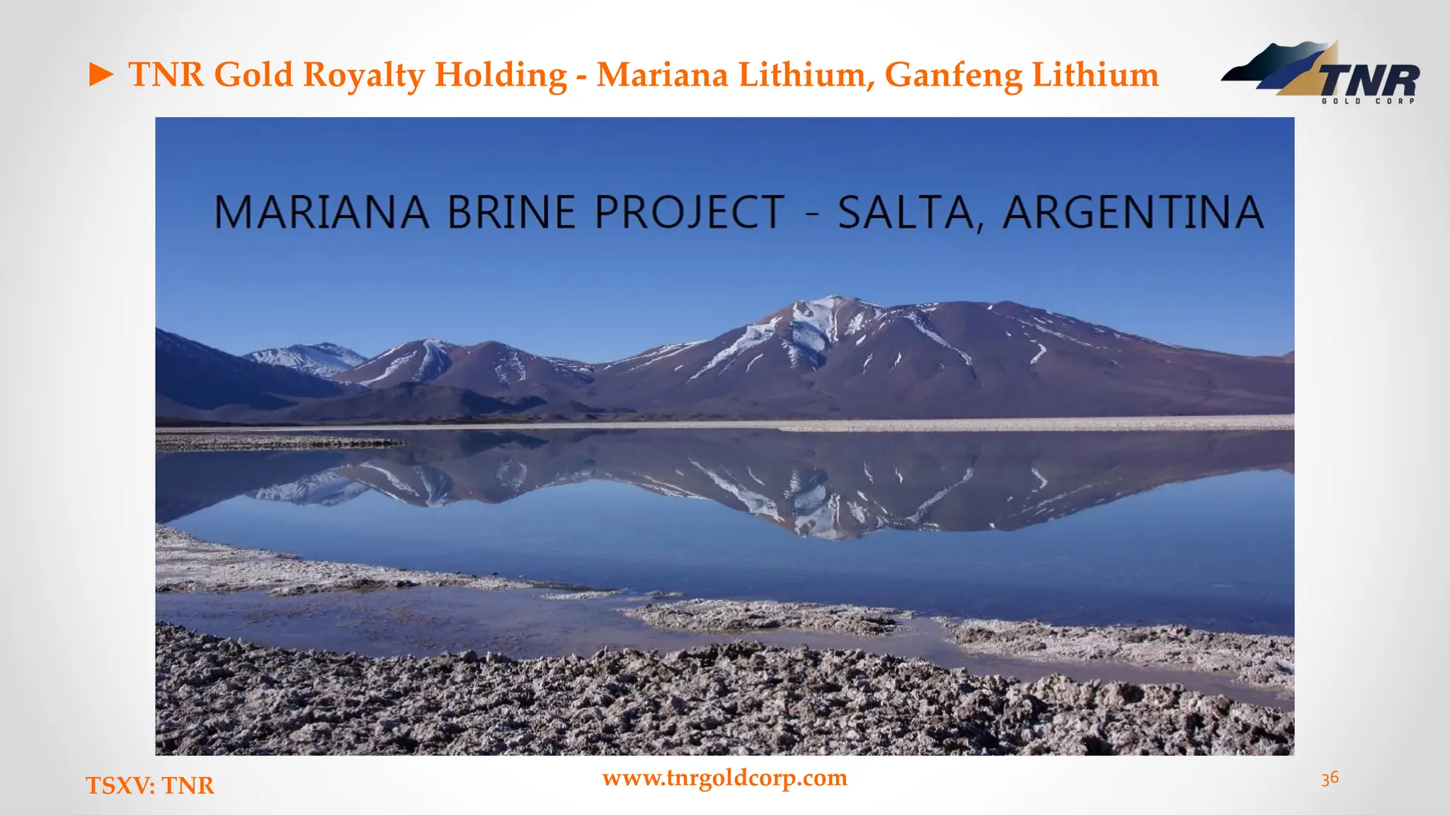► TNR Gold Royalty Holding - Mariana Lithium, Ganfeng Lithium
TSXV: TNR www.tnrgoldcorp.com 36
 