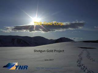 TNR Gold Corp.
Shotgun Gold Project
June 2017
TSXV: TNR www.tnrgoldcorp.com
 