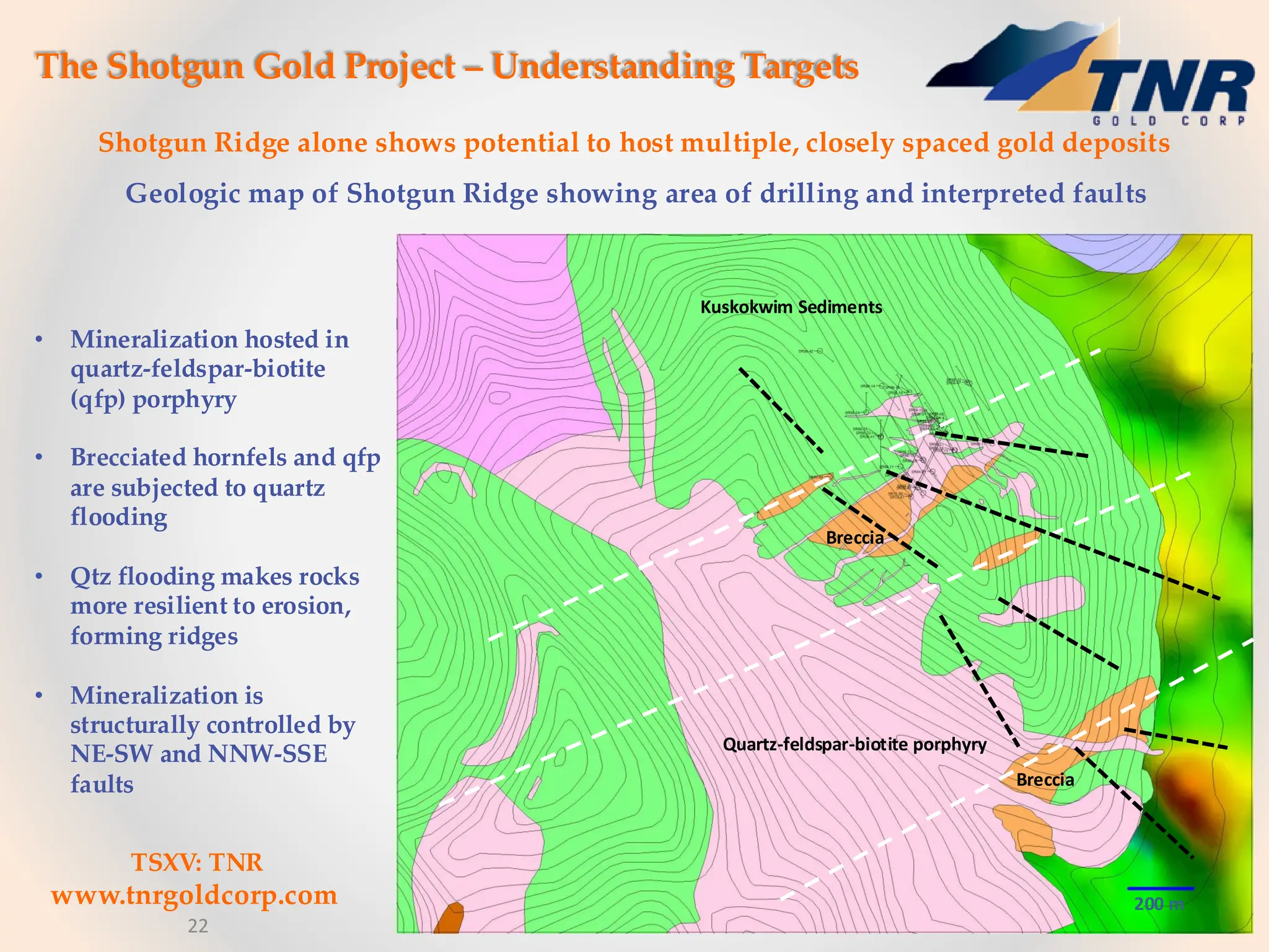 22
The Shotgun Gold Project – Understanding Targets
Geologic map of Shotgun Ridge showing area of drilling and interpreted faults
Shotgun Ridge alone shows potential to host multiple, closely spaced gold deposits
Kuskokwim Sediments
Quartz-feldspar-biotite porphyry
Breccia
• Mineralization hosted in
quartz-feldspar-biotite
(qfp) porphyry
• Brecciated hornfels and qfp
are subjected to quartz
flooding
• Qtz flooding makes rocks
more resilient to erosion,
forming ridges
• Mineralization is
structurally controlled by
NE-SW and NNW-SSE
faults
200 m
Breccia
TSXV: TNR
www.tnrgoldcorp.com
22
 