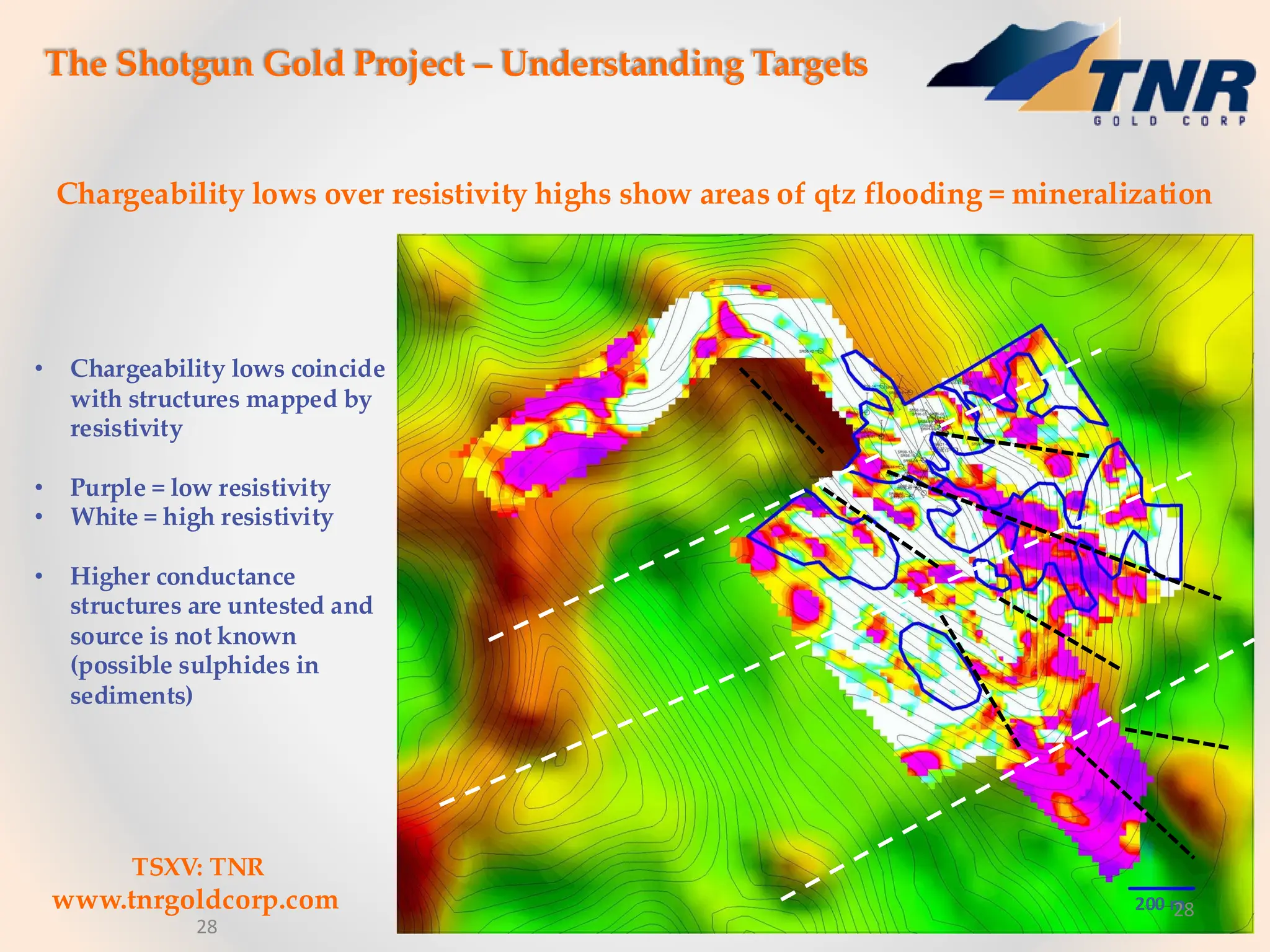 The Shotgun Gold Project – Understanding Targets
Chargeability lows over resistivity highs show areas of qtz flooding = mineralization
200 m
• Chargeability lows coincide
with structures mapped by
resistivity
• Purple = low resistivity
• White = high resistivity
• Higher conductance
structures are untested and
source is not known
(possible sulphides in
sediments)
TSXV: TNR
www.tnrgoldcorp.com
28
28
 