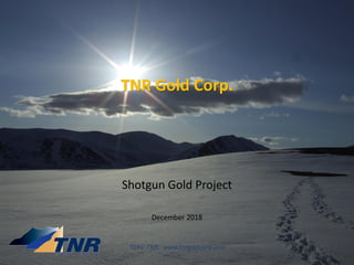 TNR Gold Corp.
Shotgun Gold Project
December 2018
TSXV: TNR www.tnrgoldcorp.com
 