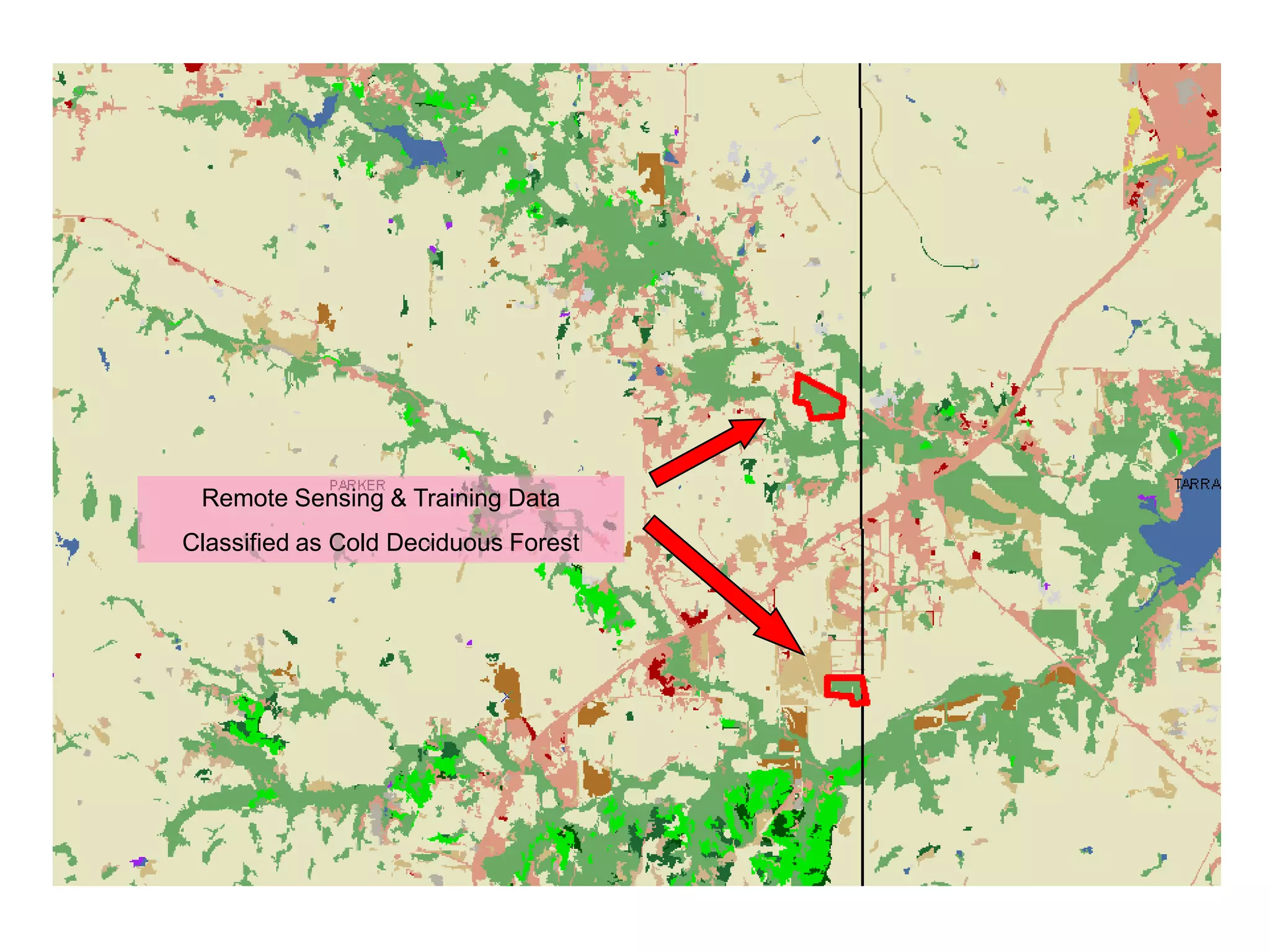 Remote Sensing & Training Data
Classified as Cold Deciduous Forest
 