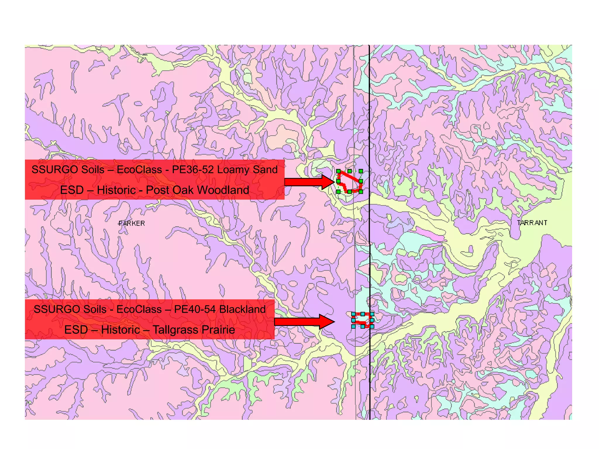SSURGO Soils – EcoClass - PE36-52 Loamy Sand
     ESD – Historic - Post Oak Woodland




SSURGO Soils - EcoClass – PE40-54 Blackland
     ESD – Historic – Tallgrass Prairie
 