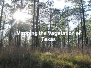 Mapping the Vegetation of
         Texas
 