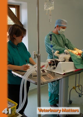 41
                     NO   SE
                       T     CO
                      OR FO
                            R   ND
                         PU DI DR
                            BL ST A
                               IC RIB FT
                                 A U
                                   TI T
                                     ON IO
                                           N



Veterinary Matters
 