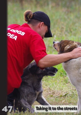 47
                           NO   SE
                             T     CO
                            OR FO
                                  R   ND
                               PU DI DR
                                  BL ST A
                                     IC RIB FT
                                       A U
                                         TI T
                                           ON IO
                                                 N



Taking it to the streets
 