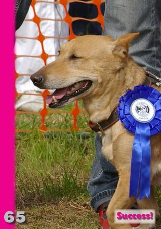 65
           NO   SE
             T     CO
            OR FO
                  R   ND
               PU DI DR
                  BL ST A
                     IC RIB FT
                       A U
                         TI T
                           ON IO
                                 N



Success!
 