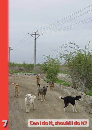 7
                               NO   SE
                                 T    CO
                                OR FO
                                      R  ND
                                   PU DI DR
                                      BL ST A
                                        IC RIB FT
                                          A U
                                            TI T
                                              ON IO
                                                    N



Can I do it, should I do it?
 