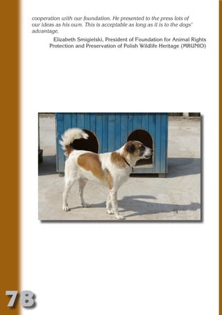 cooperation with our foundation. He presented to the press lots of
 our ideas as his own. This is acceptable as long as it is to the dogs’
 advantage.
         Elizabeth Smigielski, President of Foundation for Animal Rights
        Protection and Preservation of Polish Wildlife Heritage (MRUNIO)




                          N
                    ON IO
              IC RIB FT
                  TI T
           BL ST A
                A U
        PU DI DR
               ND
            CO
           R
         SE
     OR FO
      T
 NO




78
                                                                     Return
                                                                       to
                                                                    contents
                                                                      page
 