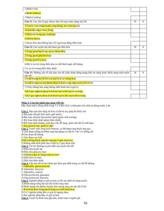 Tn slb hv quan y | PDF