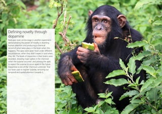 Opinion Leader
13
Share this
Defining novelty through
dopamine
Real apes took centre-stage in another experiment
demonstrating the power of novelty in diverting
human attention and producing a chemical
record of what takes place in the brain when this
happens. The apes were given food under different
circumstances: when they didn’t expect it and when
they did. The levels of dopamine in their brains were
recorded, showing major spikes in the chemical
when the surprise occurred and priming the apes
to expect the surprise to occur again in the future.
Dopamine is one of the ‘chemical currencies’ that
our brain uses to register surprise, re-tuning our
temporal and spatial attention towards it.
 