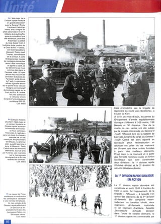 Krieg 46 y las panzerwaffe alemanas 